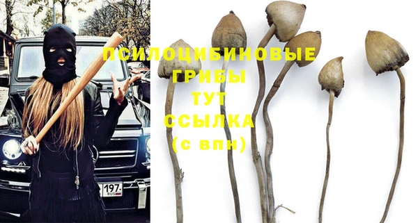 mdpv Елабуга