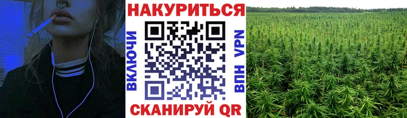 Бошки Шишки Amnesia  Купить где  Советская Гавань 
